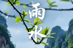 雨水落，万物生