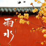 雨水逢初二，好运滚滚来！