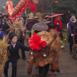 这个春节，来芋头古侗寨接“春牛”好运！