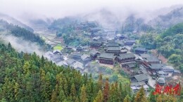 新春走基层：怀化市芋头村——春牛逐春光｜古村年味⑨