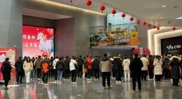 春节来郴州·福城乐悠游丨三展齐开年味浓，郴州市博物馆成新春文化热门“打卡地”