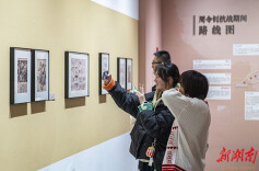 美术馆里过大年，长沙市民的文化年味别样红