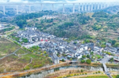 新春走基层：郴州市沙洲村——火龙耀星辰丨古村年味⑩