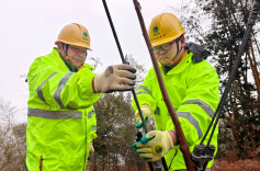 马年启新程·壮志踏歌行⑲丨紫荆峰上巡线路