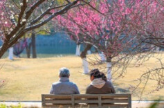 宜出门！湖南暖春即将上线