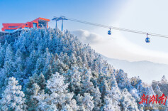 全球最长高山索道的首个春节 雪峰山云端美景刷爆朋友圈