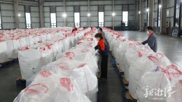 马年启新程·壮志踏歌行㉑丨湖南裕能：满产满销发货忙