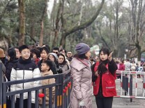 春节我在岗｜麓山守岁护安澜 坚守换得游人欢