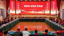 荷叶镇：两大项目签约、商会成立为发展注入新动能