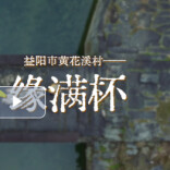 新春走基层：益阳市黄花溪村——茶香缘满杯｜古村年味⑪