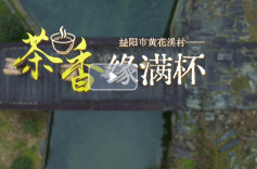 新春走基层：益阳市黄花溪村——茶香缘满杯｜古村年味⑪