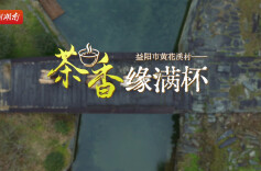 新春走基层：益阳市黄花溪村——茶香缘满杯｜古村年味⑪