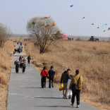 超好玩！岳阳的他们不做“牛马”去撒欢，把20米“口袋熊”放上了天