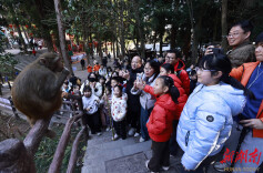 张家界国家森林公园:假期临近尾声 旅游热度不减