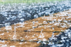 邵阳发布｜大雨！局地暴雨！邵阳将迎强对流天气，就在……