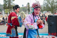 戏韵悠长年味浓