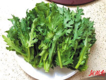 早春食补选对“春菜”