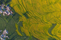 理论·智库 | 推动现代农业产业园从“示范点”向“动力源”转变