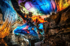 日均客流破千！万华岩景区成粤港澳游客春节热门“打卡点”