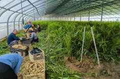 理论·智库 | 智慧农田新基建：湖南现代农业的硬支撑