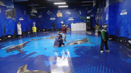 新春走基层 最火在汝城｜汝城沉浸式科技馆：科技年味点亮少年探索梦