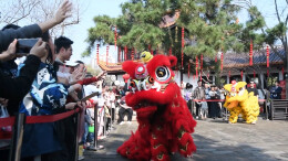 走进天心阁 马年新春年味浓