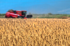 理论·智库 | 筑牢粮食安全的数字大堤