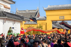 文博游、滨海游势头旺 一组数据看新春热门打卡地