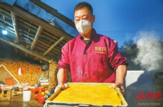 新春走基层：常德市洪杨村——鱼糕承余庆｜古村年味⑬