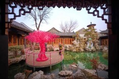 过一个“姹紫嫣红”的春节？这里已是“满园春色”→