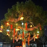 红火湘潭年味足！春节假期，全市接待游客133.21万人次，同比增长10.31%