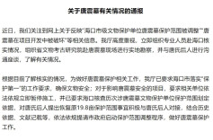唐震墓在项目开发中被破坏？海南通报相关情况