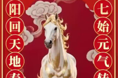 七始元气转，阳回天地春 新湖南恭祝您七星高照，人寿年丰！