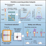 科研人员开发新方法，提升T细胞清除癌细胞能力