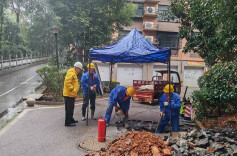 你只管团圆，身后有他们——致敬城市守护者