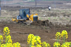 High-standard Farmland Construction in Full Swing