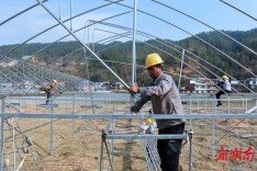 大棚架起“增收梦”