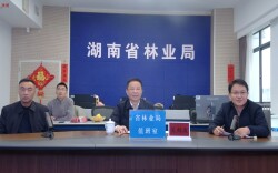 吴剑波调度春节森林防火和鸟类保护工作