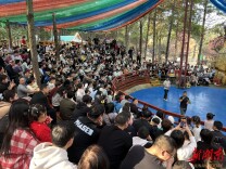 2026马年新春：来永州森林植物园，“放自己一马”  