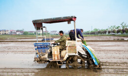14次荣誉加身！岳阳县“211”实力出圈