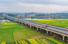 Golden Spring Views on the Journey Back