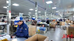 开局争先启新程，岳阳市君山区全力冲刺开门红