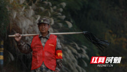 “湘”守青山的脉动——湖南护林员用坚守诉说山林心声