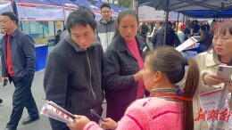 春风送岗暖民心！北塔区这场开工首日招聘会诚意满满