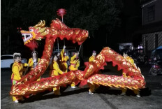 这群长沙大妈太飒了！自学舞龙，月余“解锁”多种舞龙造型　　