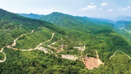 发展林下经济要处理好“十对关系”