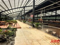 告别“脏乱差” 养殖显生态——大祥区3位花甲创业者生态养殖的故事　　