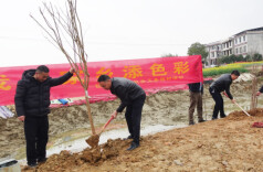 双峰县锁石镇开展义务植树活动