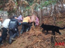 马年“汪汪”第一功！桂阳公安雨夜密林寻回六旬老人