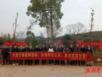 双峰甘棠镇开展春节义务植树活动